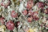 Raspberry, Grossular Garnets and Vesuvianite - Mexico #168316-1